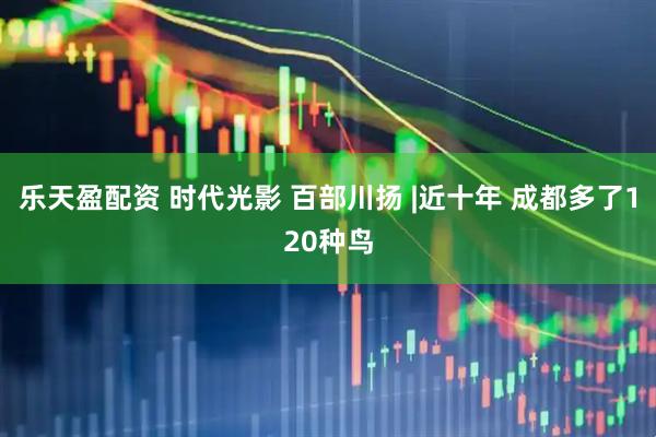 乐天盈配资 时代光影 百部川扬 |近十年 成都多了120种鸟