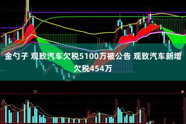 金勺子 观致汽车欠税5100万被公告 观致汽车新增欠税454万